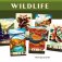 parks extension wildlife boite de jeu 