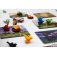 perches jeu matagot boite de jeu 