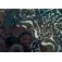 puzzle twist phosphorescent 1000p ice spirit 