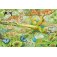 puzzle schmidt 100 foret equatoriale 