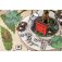 tales of kunugi jeu frenchy kuma_boite de jeu 