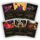 villainous_disney_jeu_ravensburger_boite 