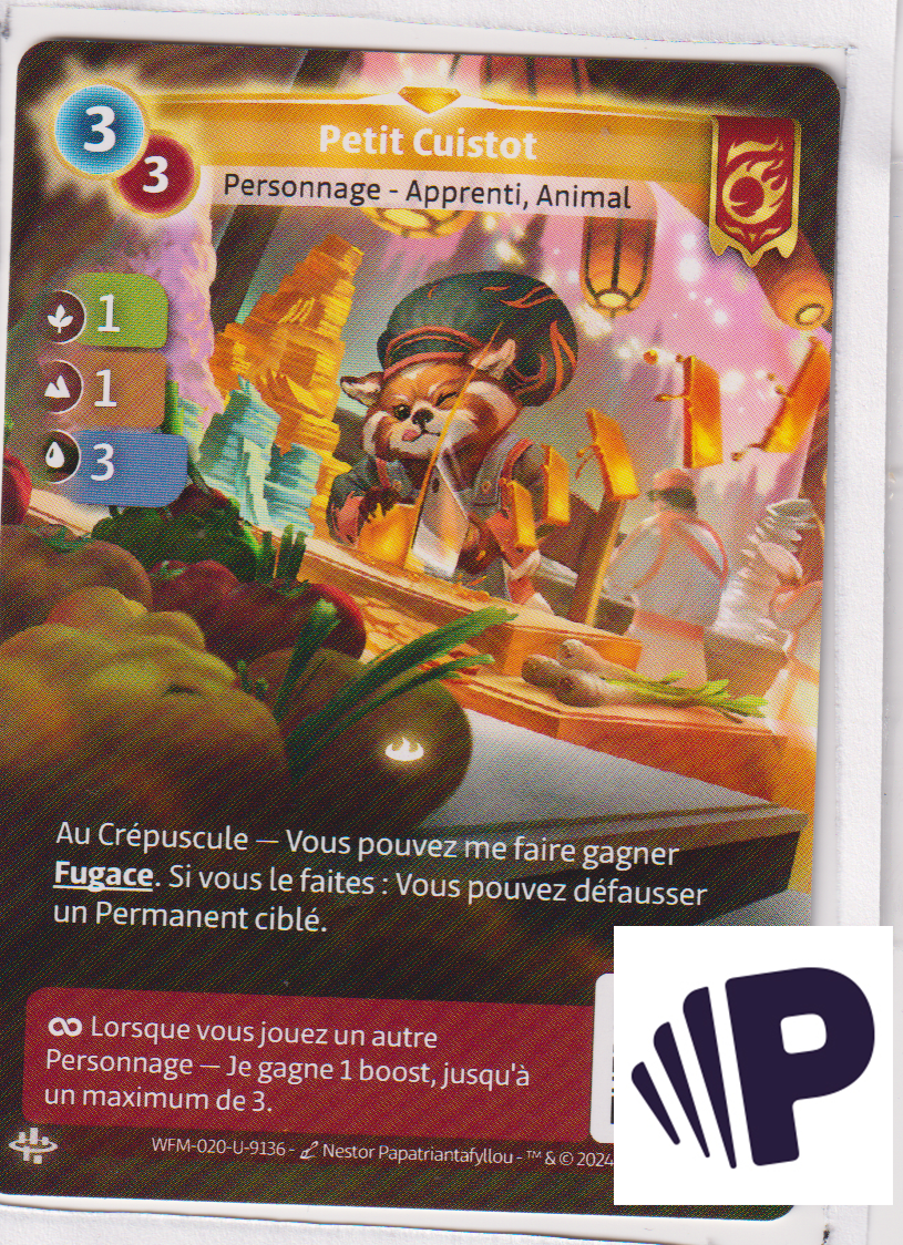 Petit Cuistot - R Bravos