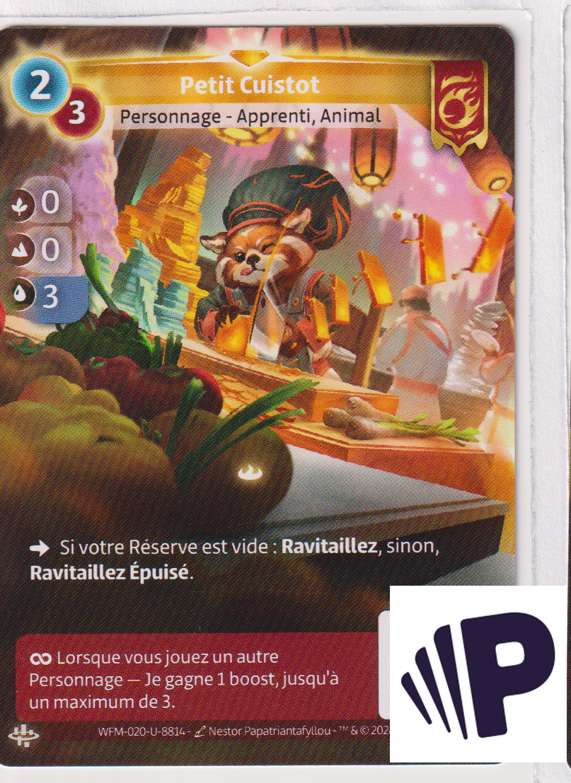 Petit Cuistot - R Bravos