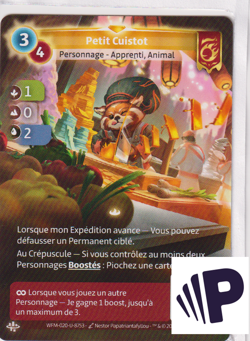 Petit Cuistot - R Bravos