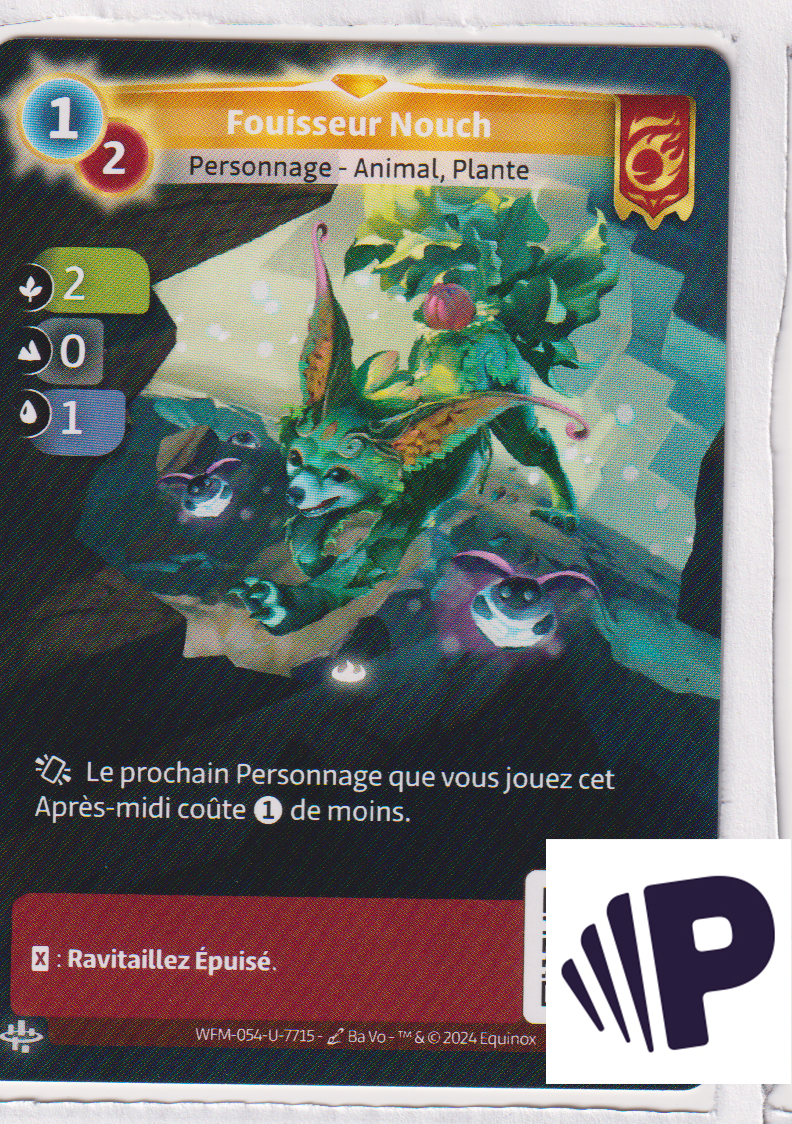 Fouisseur Nouch - F Bravos
