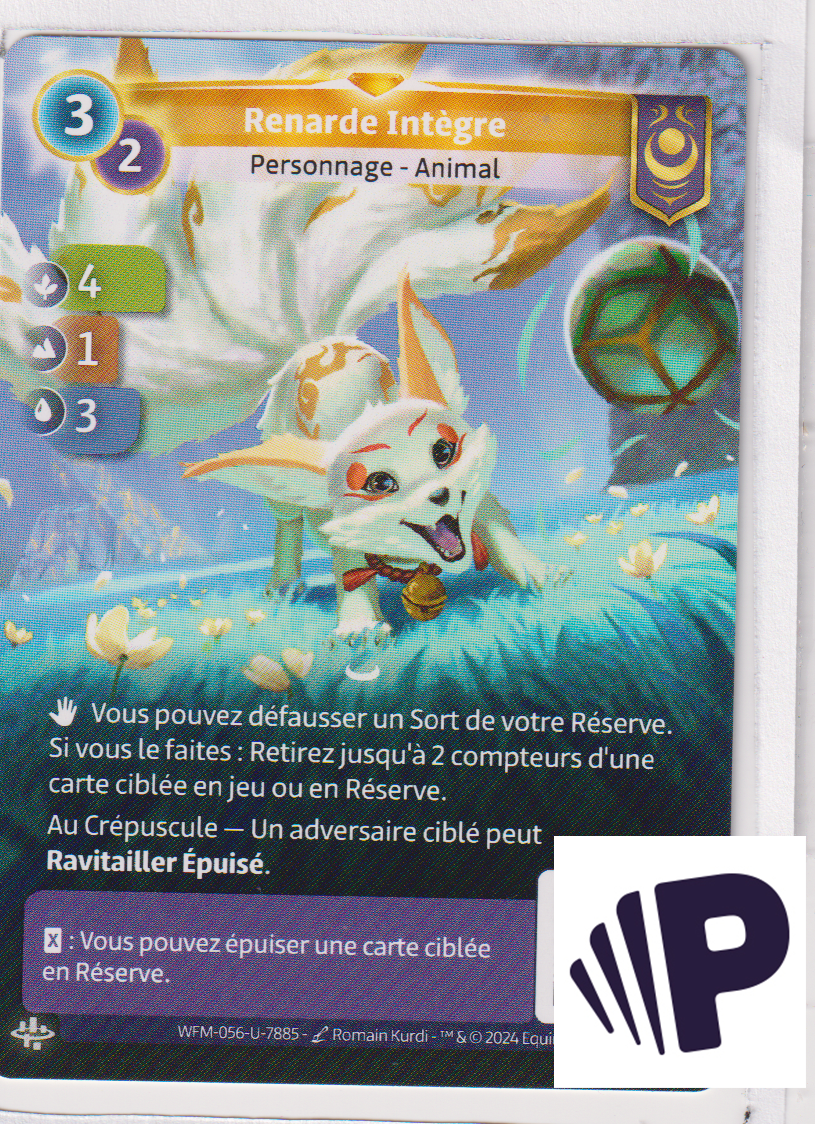 Renarde Intègre - F Yzmir