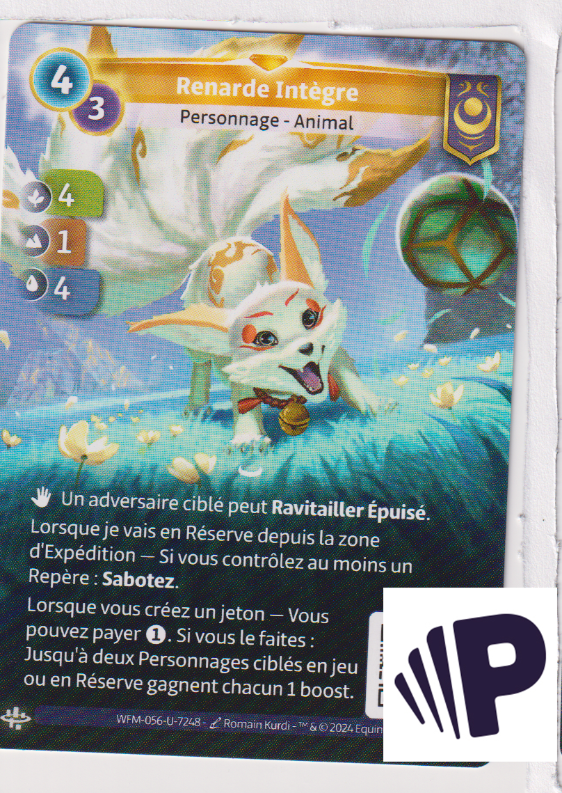 Renarde Intègre - F Yzmir