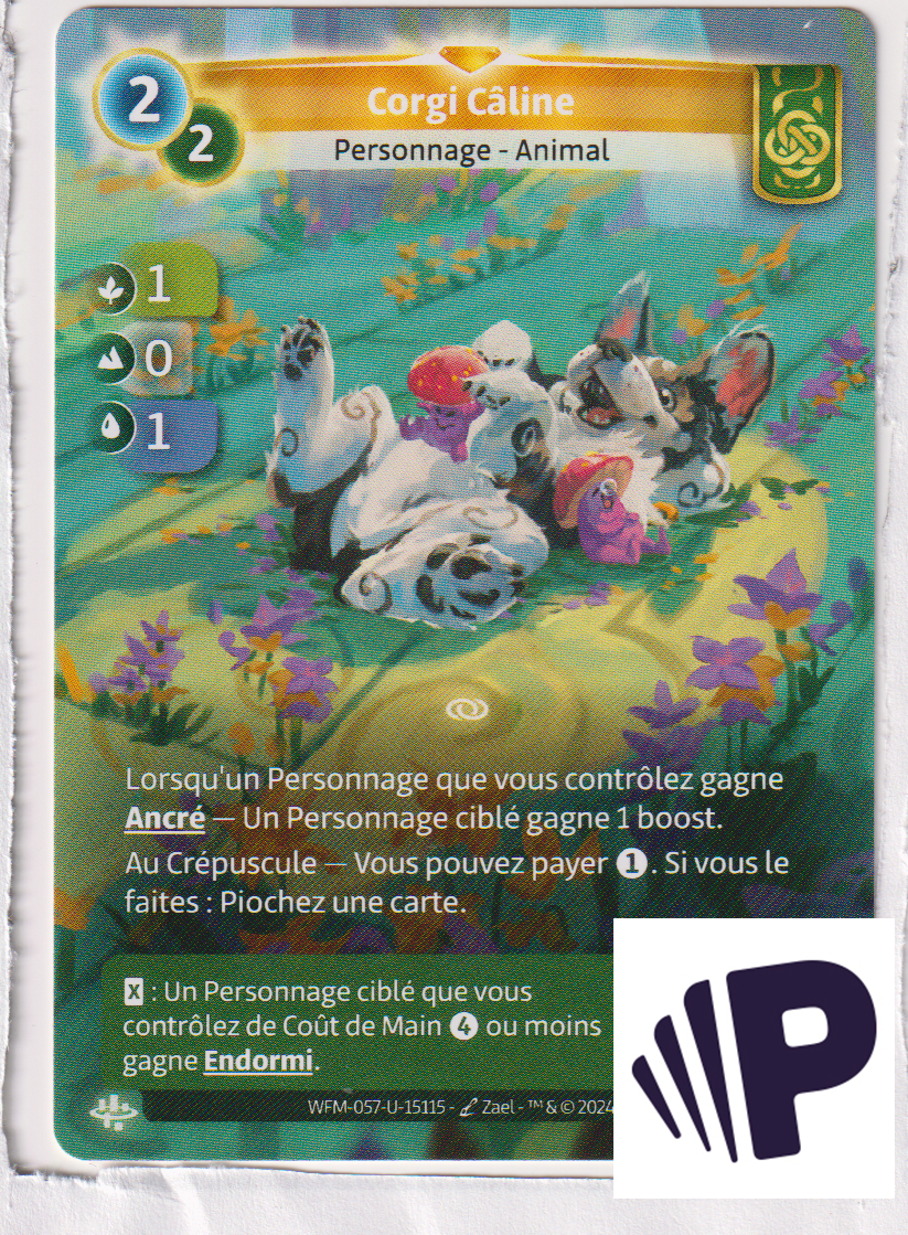 Corgi Câline - R Muna