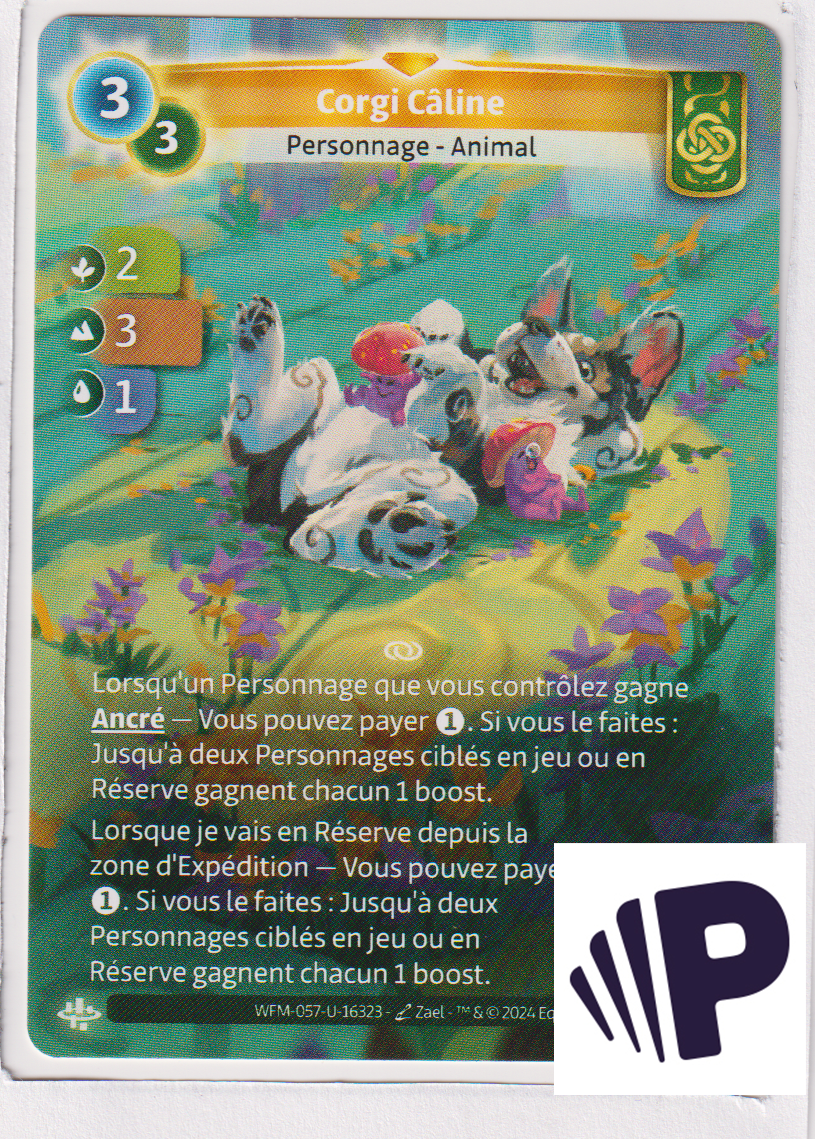 Corgi Câline - R Muna