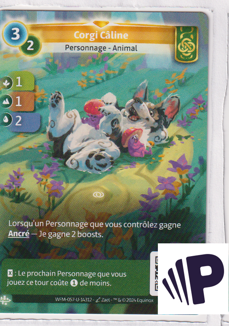 Corgi Câline - R Muna