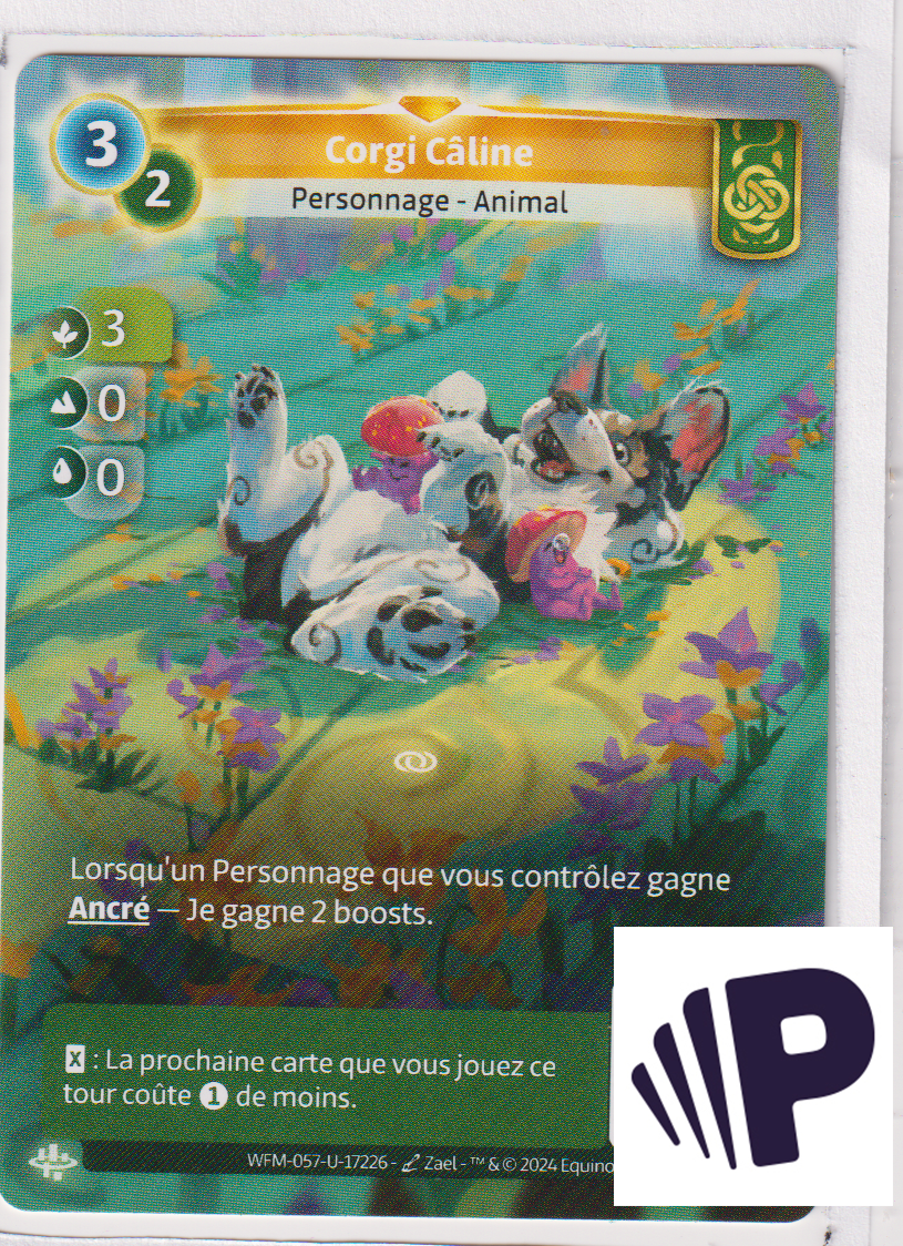 Corgi Câline - R Muna