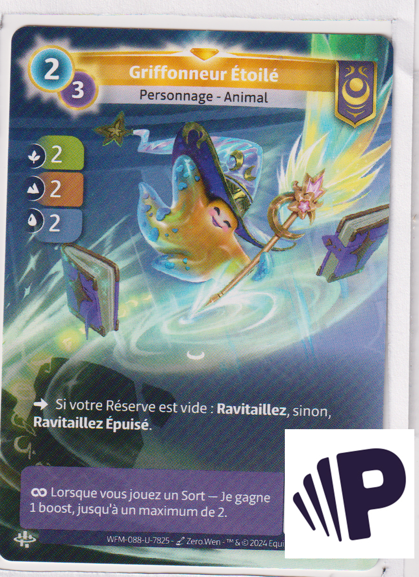 Griffonneur Étoilé - R Yzmir