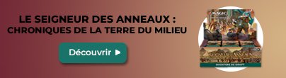 Spotlight Magic Seigneur des Anneaux